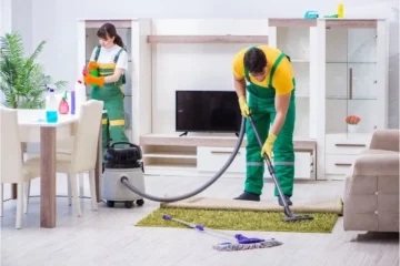 Cleaner