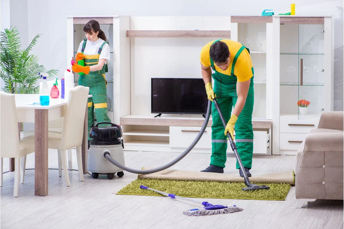 Cleaner